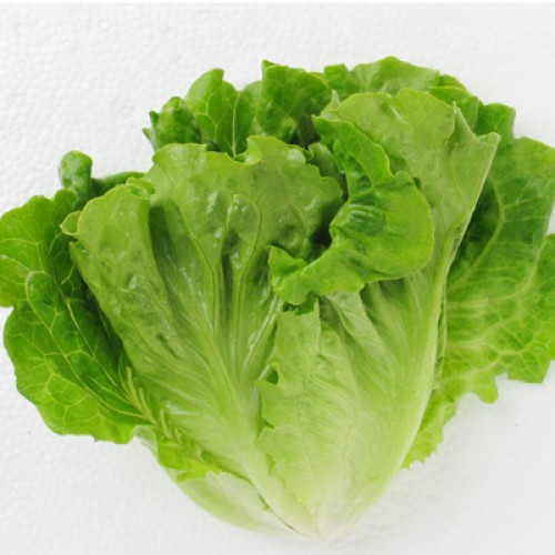 唐生菜